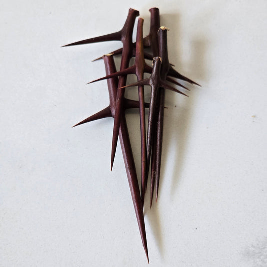 Witch Pins - Set of 6