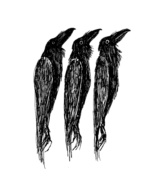 A Murder of Crows